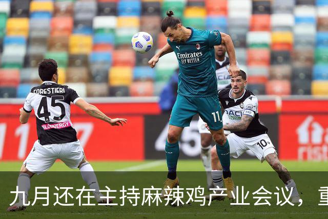 九月还在主持麻辣鸡产业会议，重庆丰都县人大主任陈金富任上被查