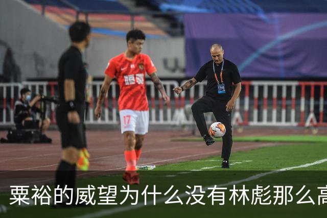 粟裕的威望为什么没有林彪那么高