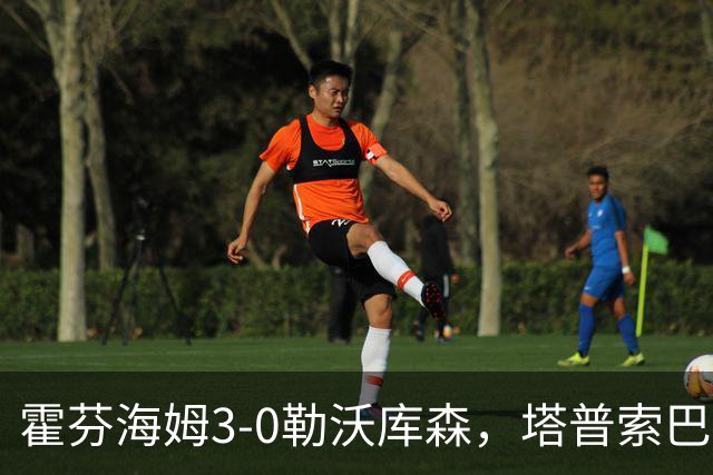 霍芬海姆3-0勒沃库森,塔普索巴送点,克拉马里奇传射建功